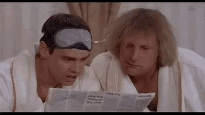 dumb and dumber reading gif